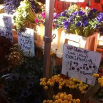 1980822_10151895729281682_619814774_n