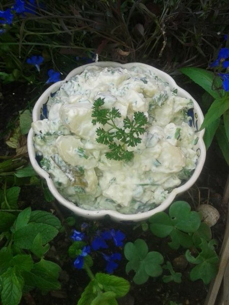 krumpli salata geprol