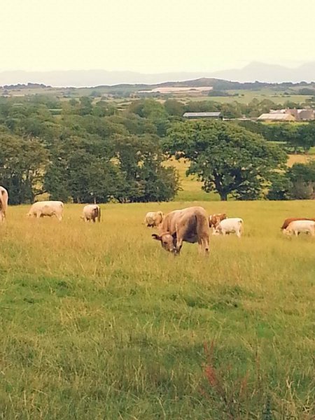 10347642_10152622814581955_7160208465294646752_n