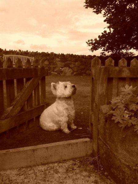 10616586_10152622848716955_4316135566938274206_n